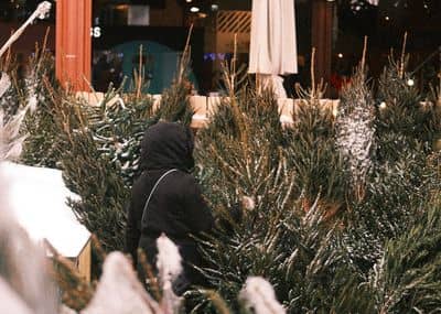 Baltic Jaam Market Christmas Market