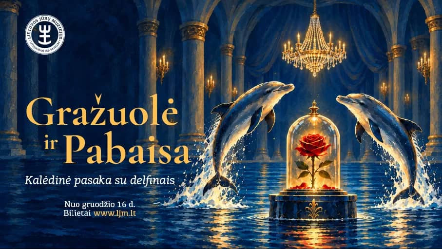 Christmas Tale with Dolphins “Beauty and the Beast”