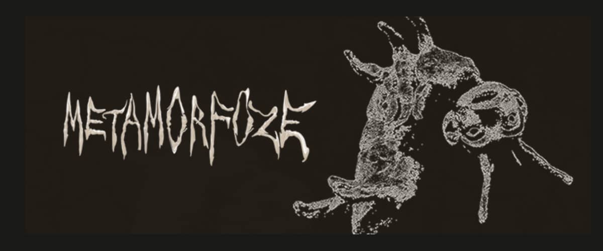 Liepājas Mākslas Forums | Metamorfoze 14+