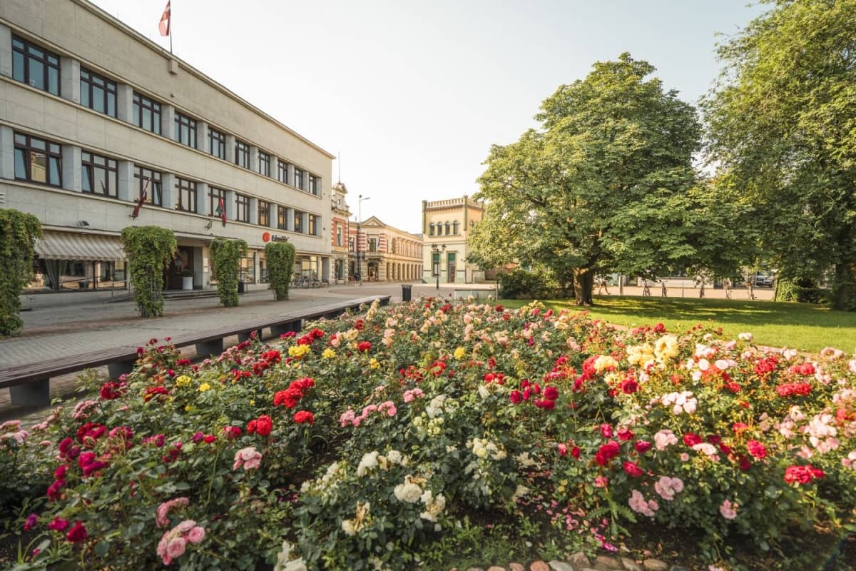 Tour "Let's meet at the Rose Square!" in Latvian and English