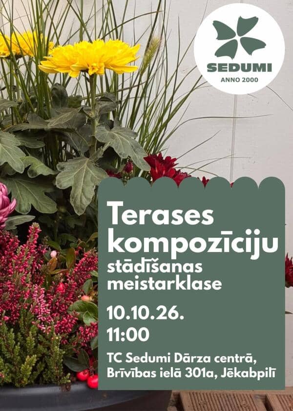 Terases rudens kompozīciju stādīšanas meistarklase