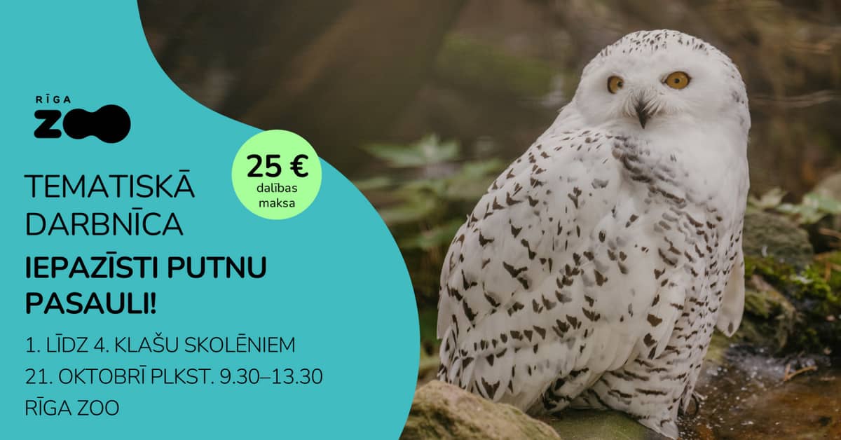 Themed Day at Riga Zoo – 'Discover the World of Birds!'