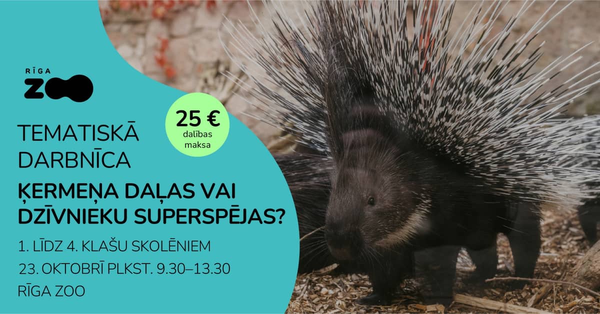 Thematic Day at Riga Zoo – 'Body Parts or Animal Superpowers?'