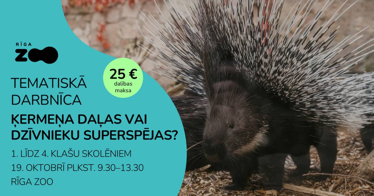 Themed Day at Riga Zoo – 'Body Parts or Animal Superpowers?'