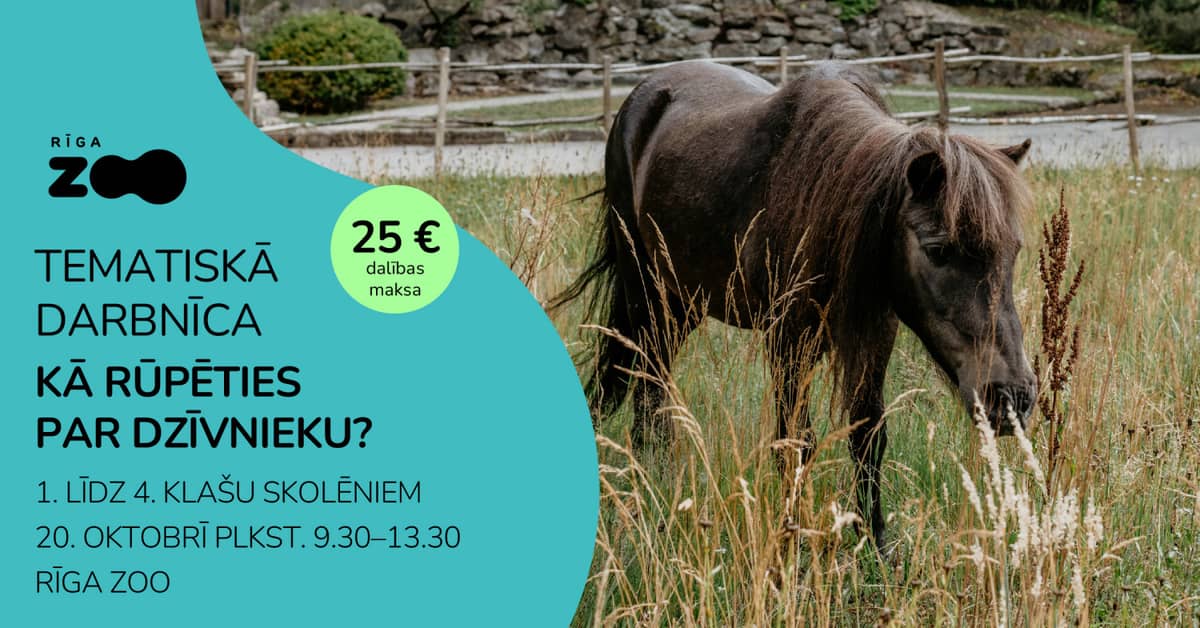 Themed Day at Riga Zoo – 'How to Care for Animals?'