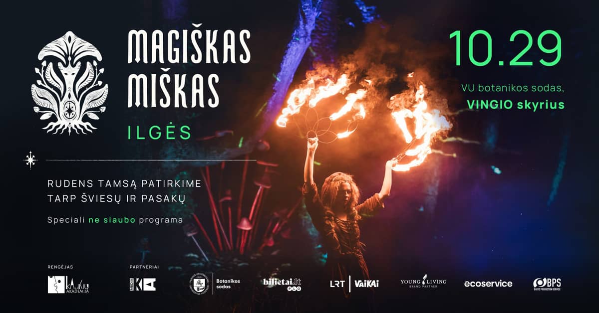MAGICAL FOREST. ILGĖ — an experiential light show for children of all heights *