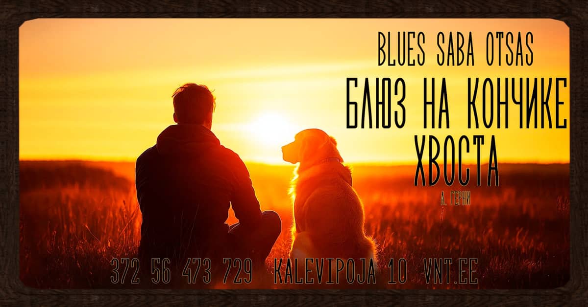Blues at the Tip of the Tail / Блюз на кончике хвоста — Russian Youth Theatre