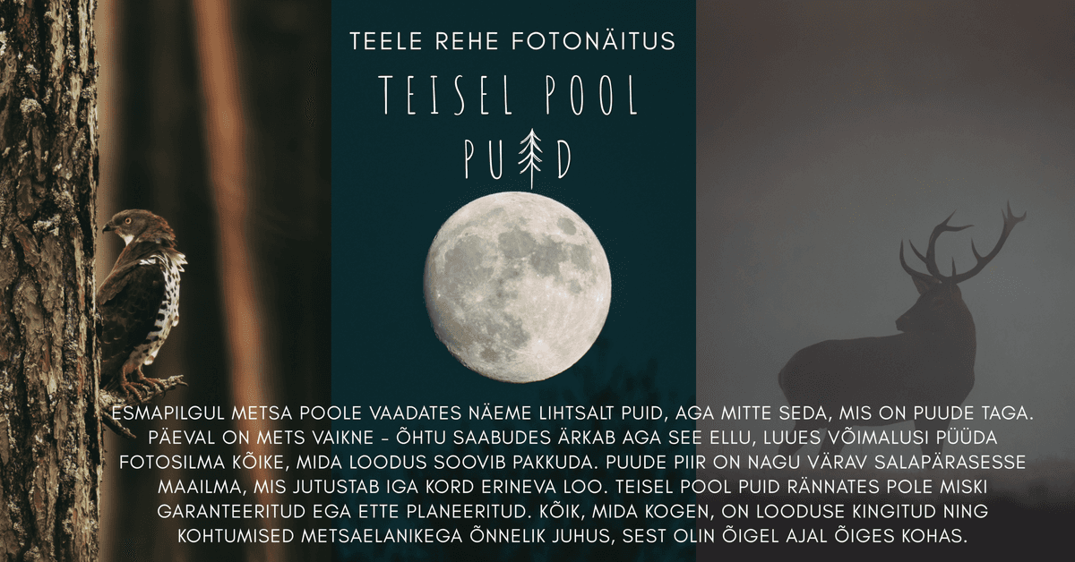 Teele Rehe photo exhibition "Beyond the Tree"