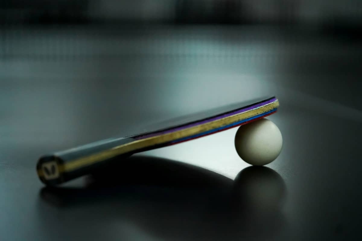 Coach Roberts Reimanis Memorial Table Tennis Tournament