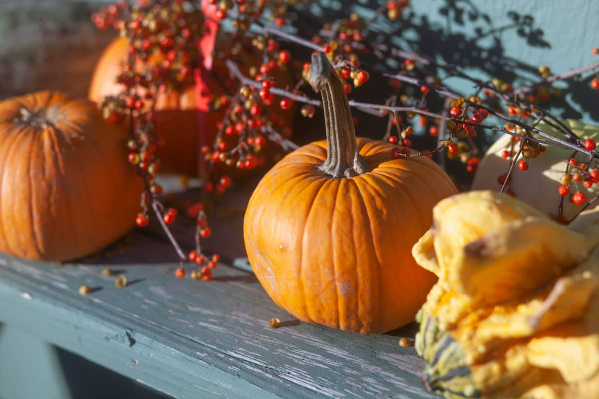Meeting of the interest club “Dzīvot Laidos” — “Autumn: Harvest Time”