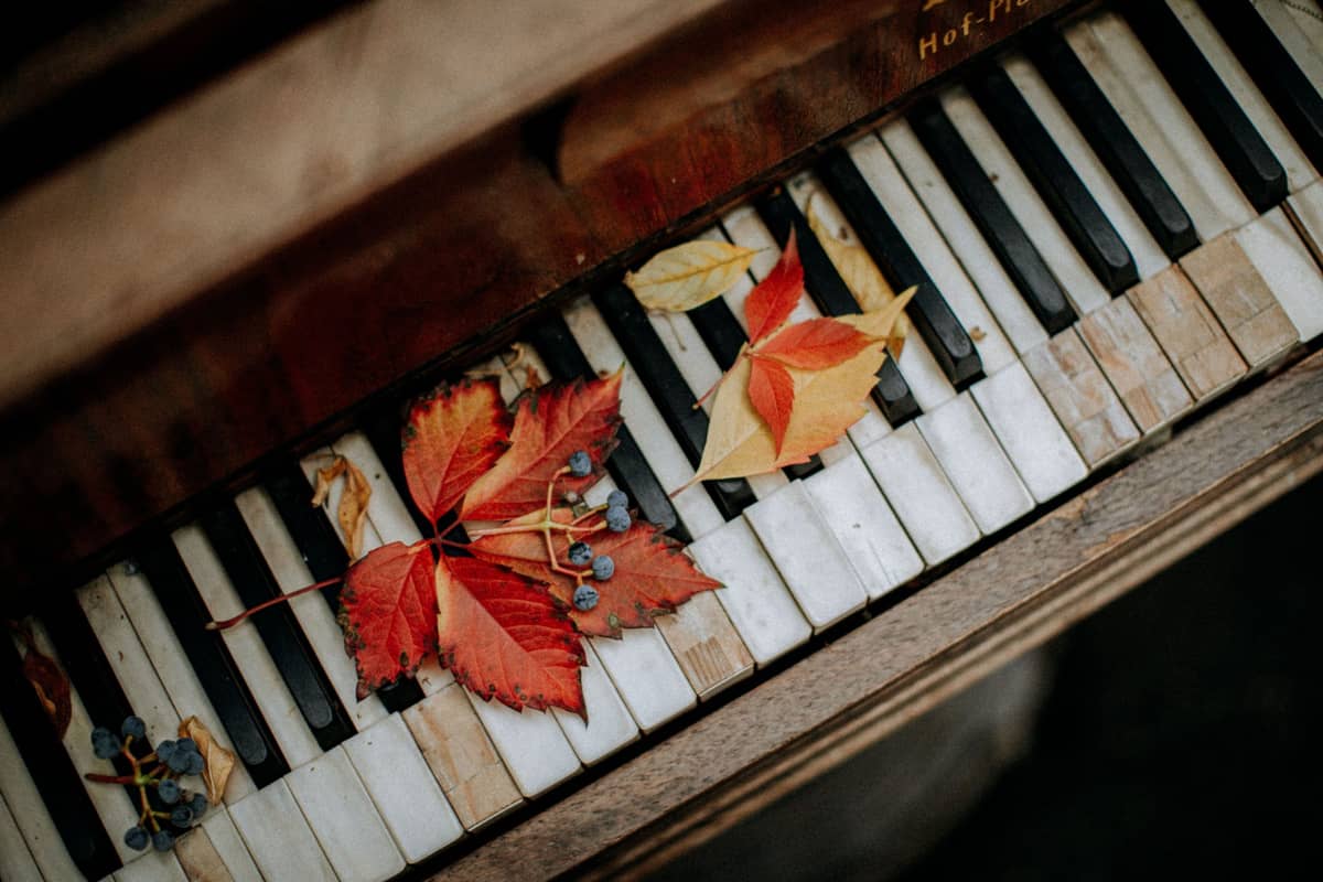 Concert – an evening of relaxation “Between Golden Leaves and Raindrops”