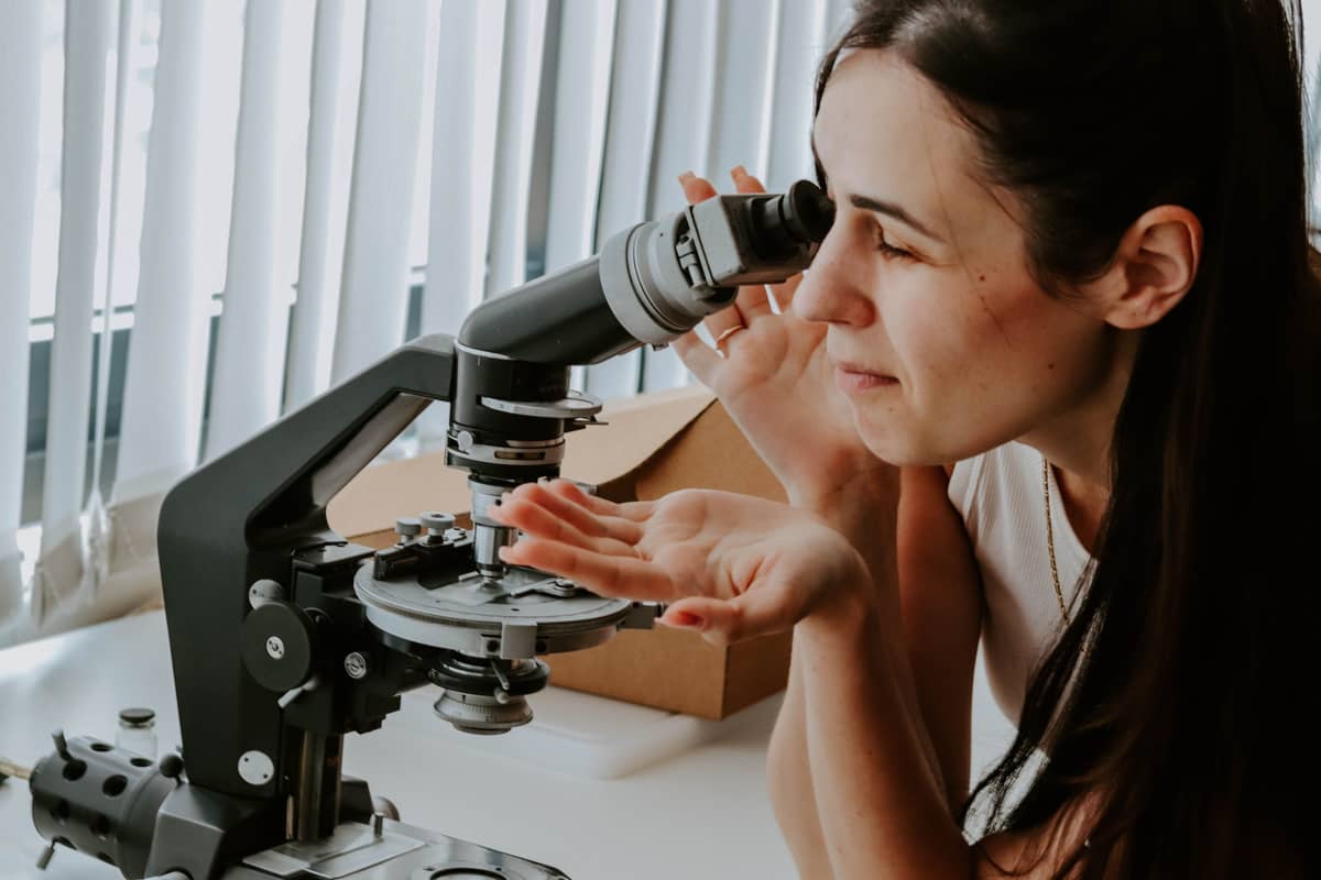 STEM workshops for schoolchildren