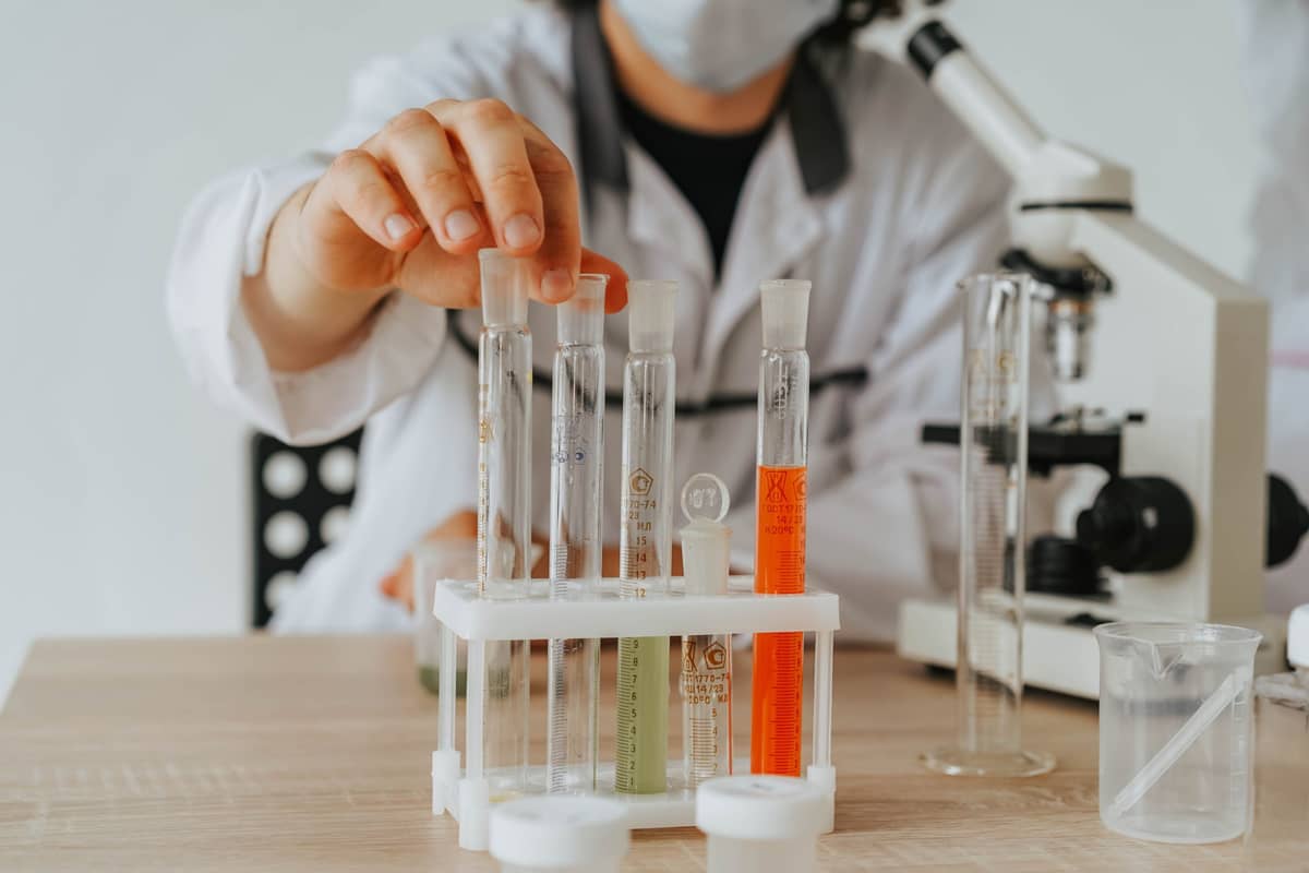 STEM workshops for schoolchildren