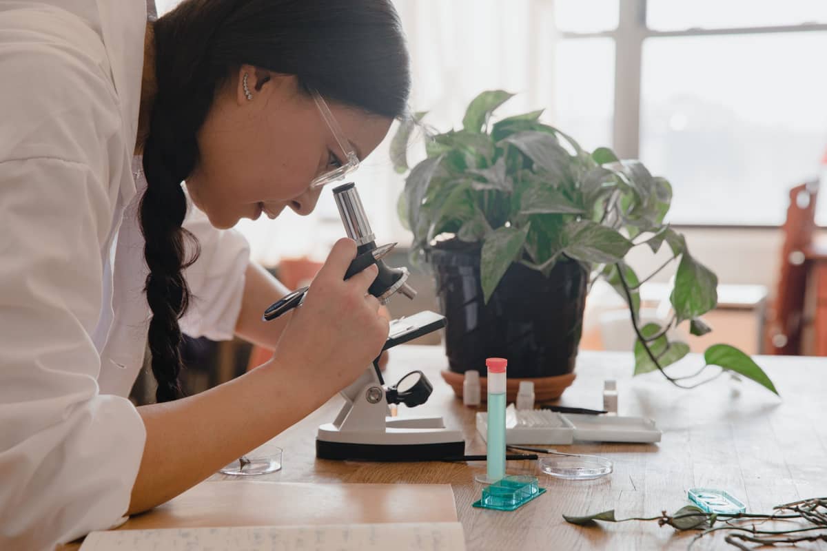 STEM workshops for schoolchildren