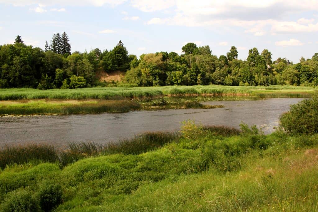 Information meeting on the development of the protection plan for the nature reserve “Ventas ieleja”