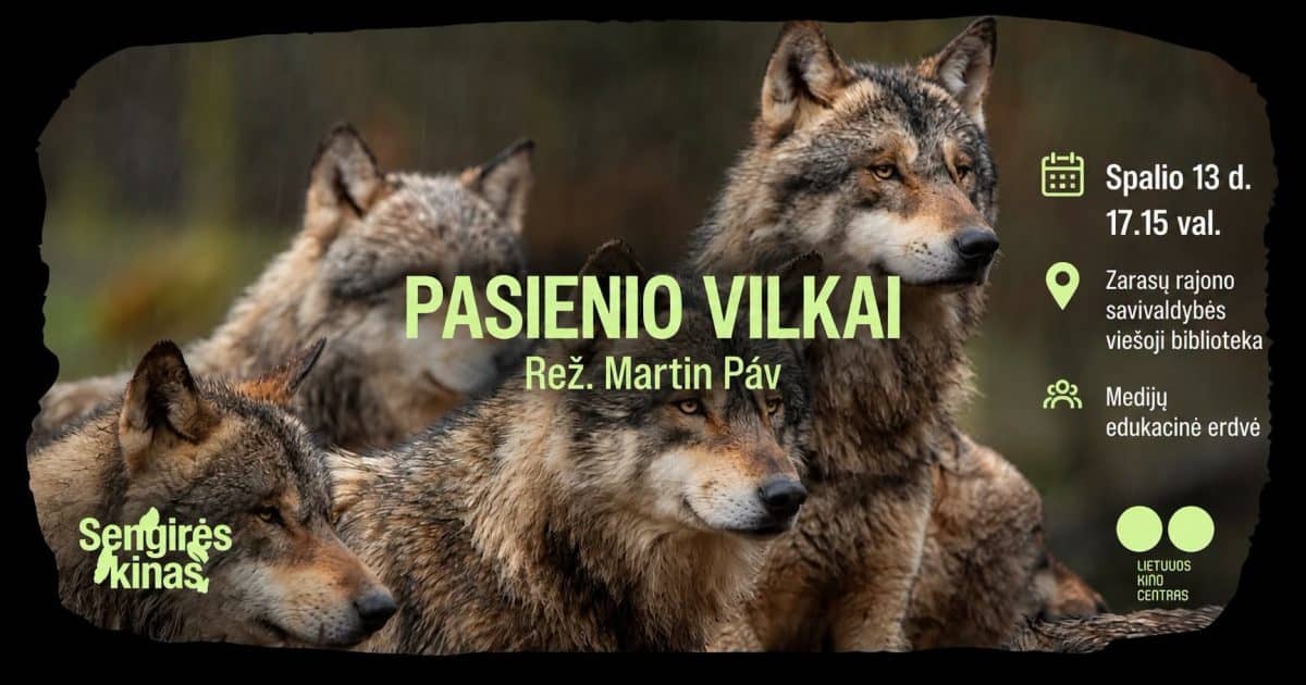 Sengirė Cinema: Border Wolves