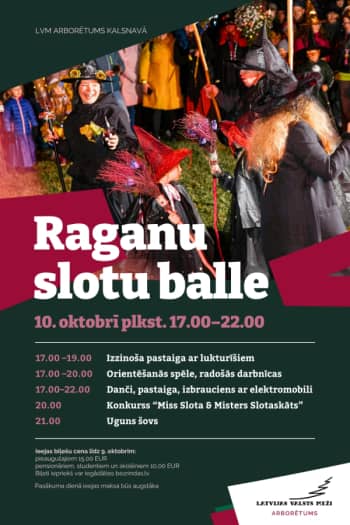 "Witches' Broom Ball" at the LVM Arboretum in Kalsnava