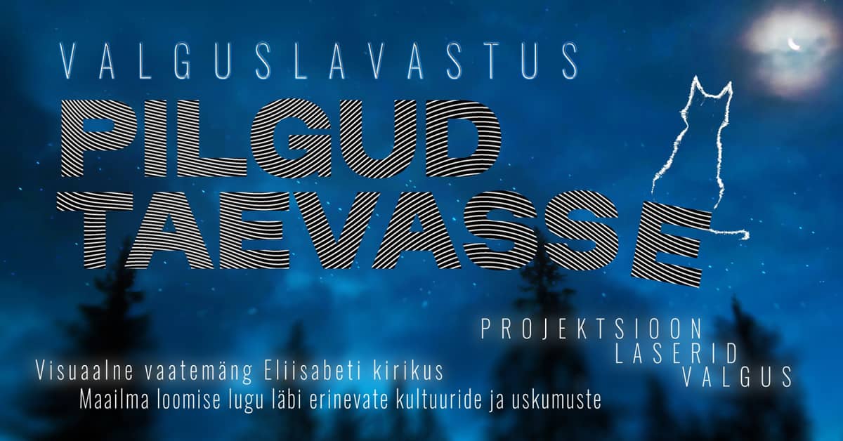 ''Pilgud taevasse'' / ''Eyes to the sky'' / Pärnu Light Theatre Festival ''ÖÖvalgel''