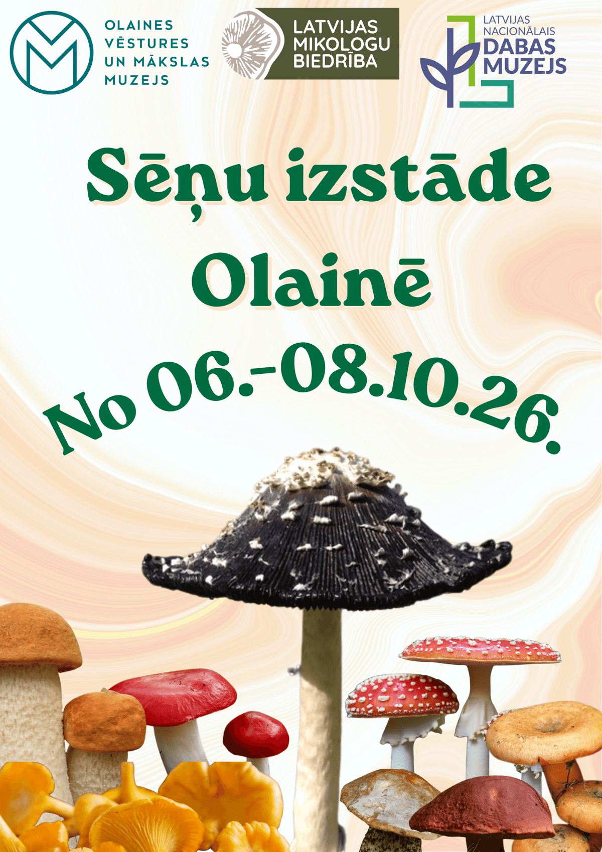 Mushroom Exhibition