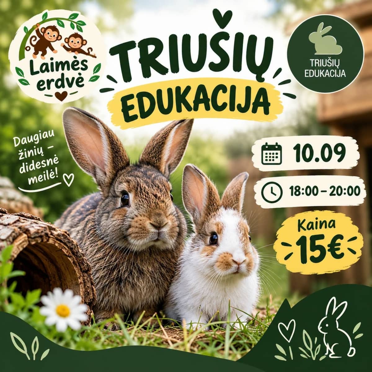 Rabbit education session