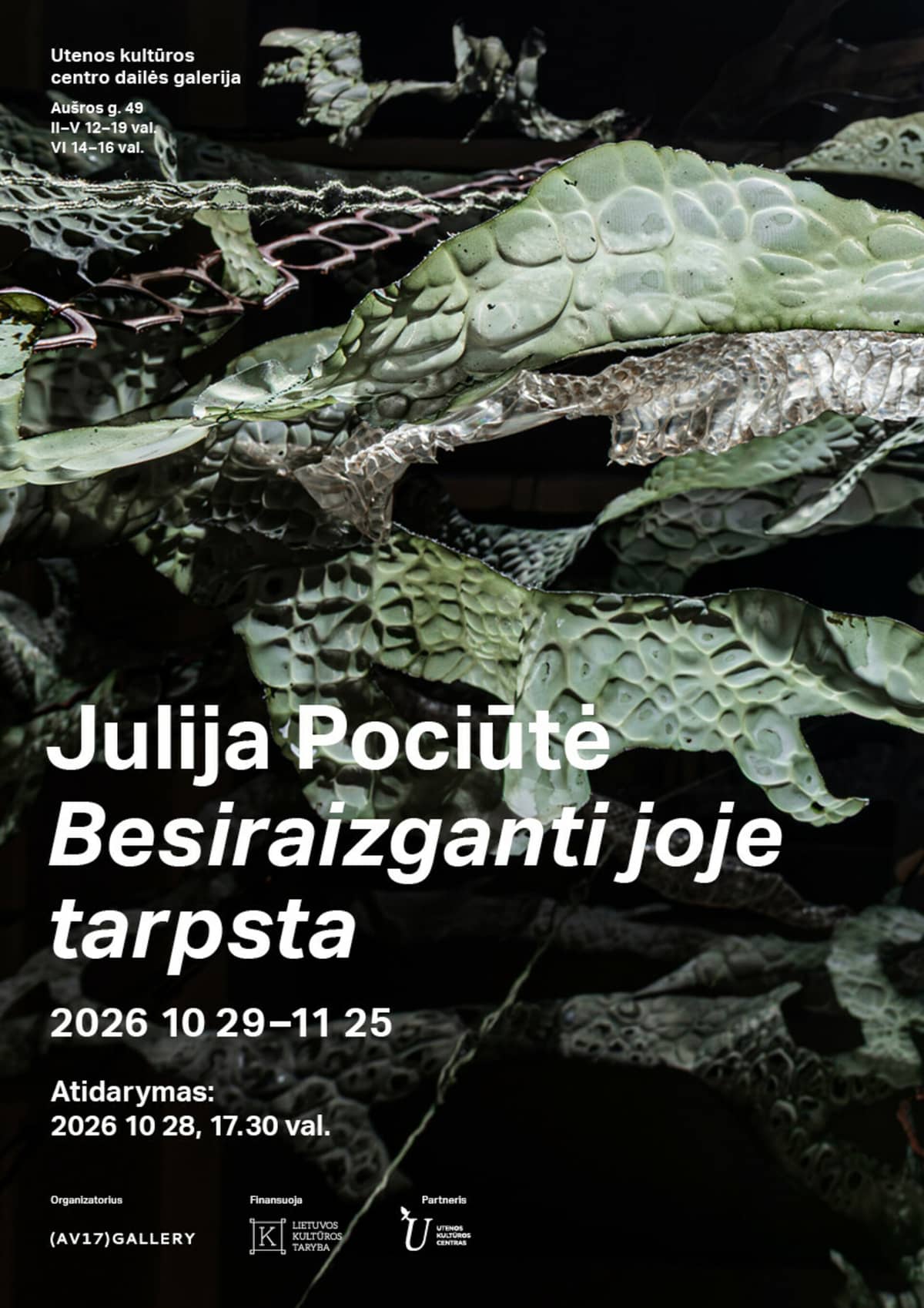 Julija Pociūtė “Besiraizganti joje tarpsta”