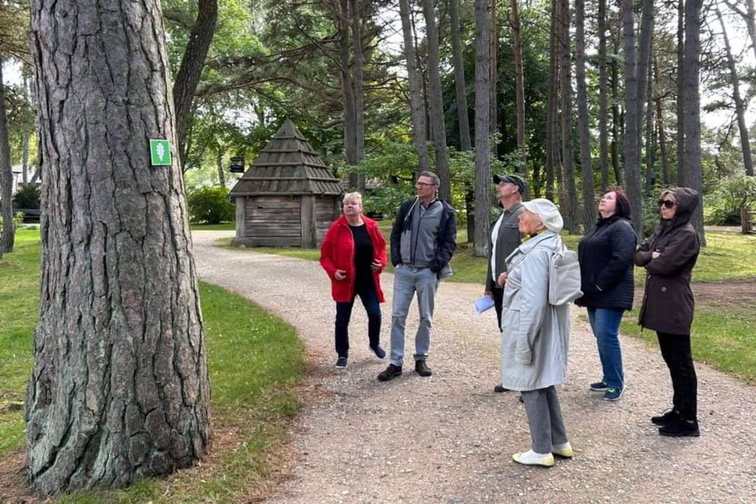 Walk in the Seaside Open-Air Museum | Forest Days 2026